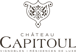 Chateau-Capitoul-Seminaires de Caractere