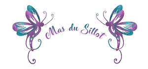 Mas-du-Sillot-Drome-Vaucluse-seminaires-de-caractere Mas-du-Sillot-Drome-Vaucluse-seminaires-de-caractere
