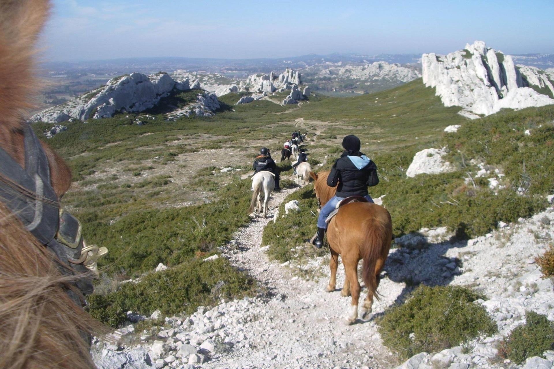 bastide-eygalieres-alpilles-provence-sud-seminaires-incentive-chevaux