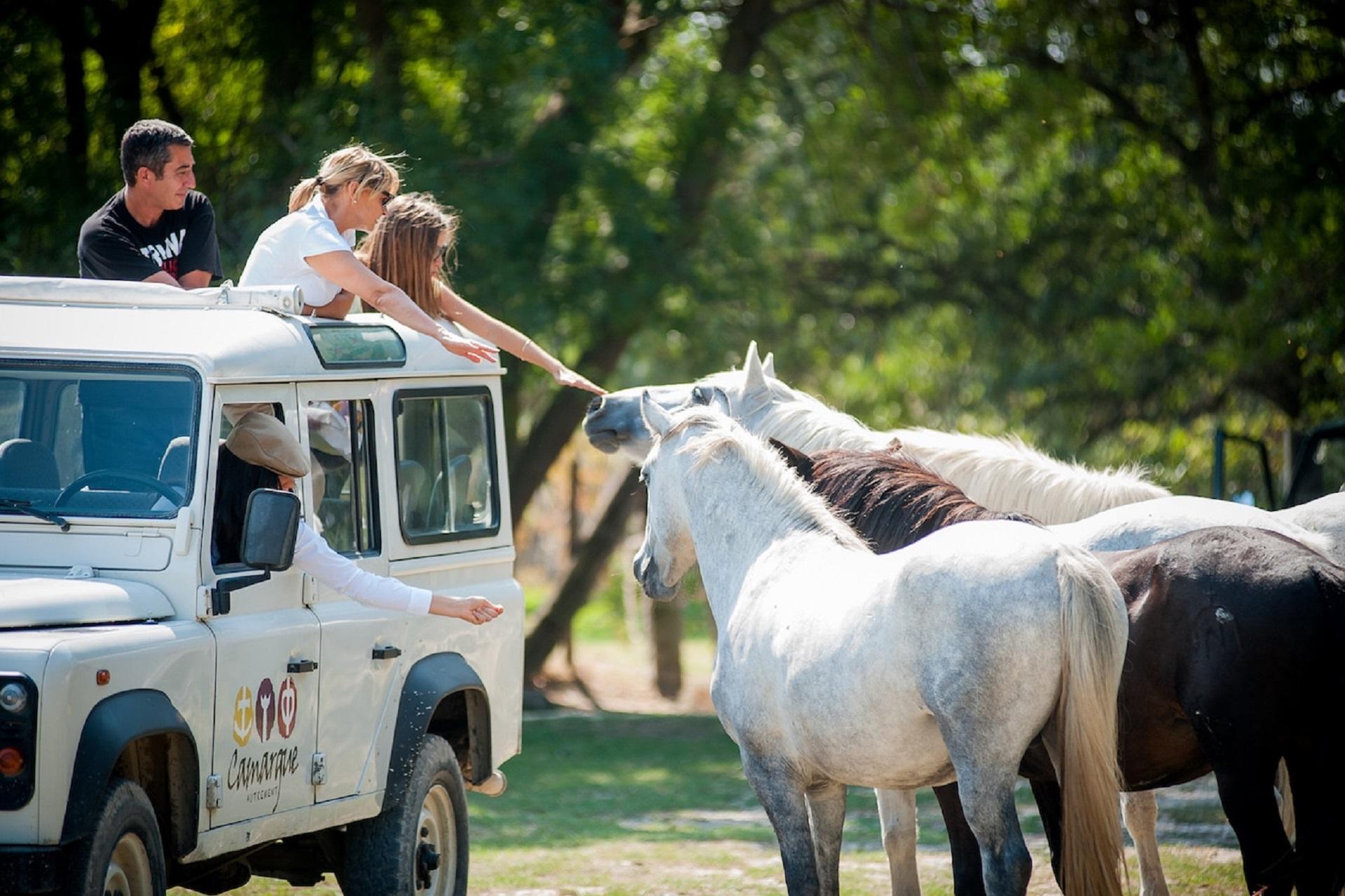 camargue-autrement-incentive-animations-vtt-4x4-safari