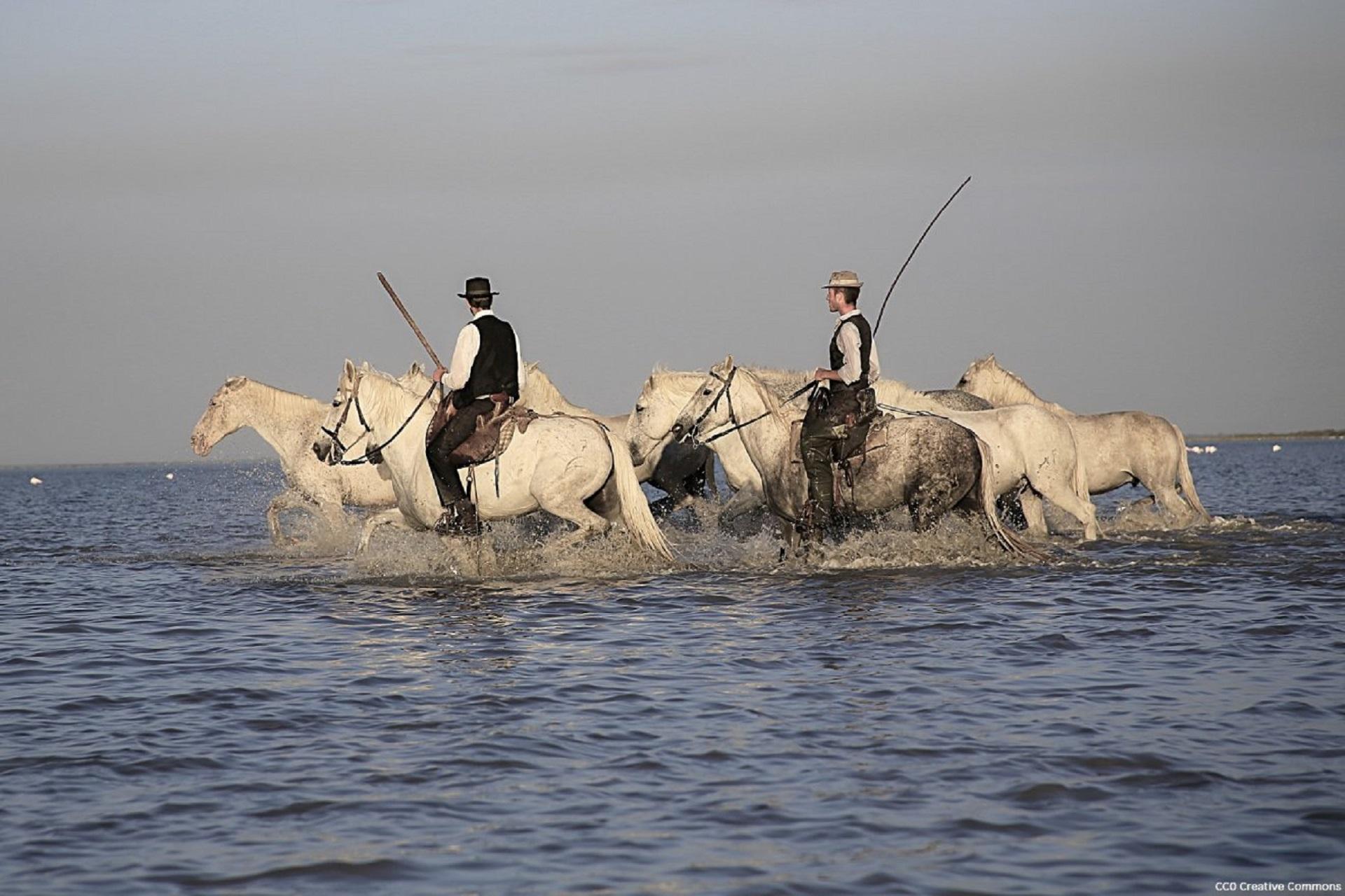 camargue-autrement-incentive-chevaux-animations-vtt-4x4