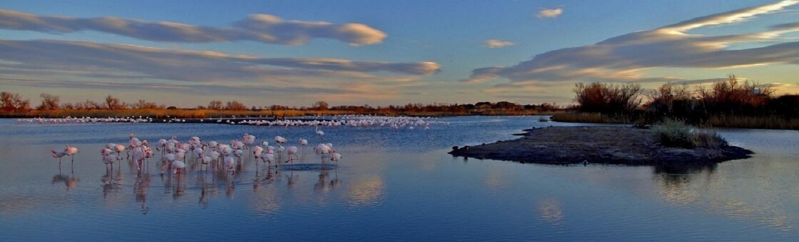 camargue-autrement-seminaires-de-caractere-nature