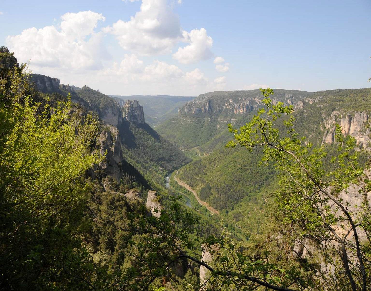 chateau-des-ayres-losere-ocitanie-gorges-du-tarn