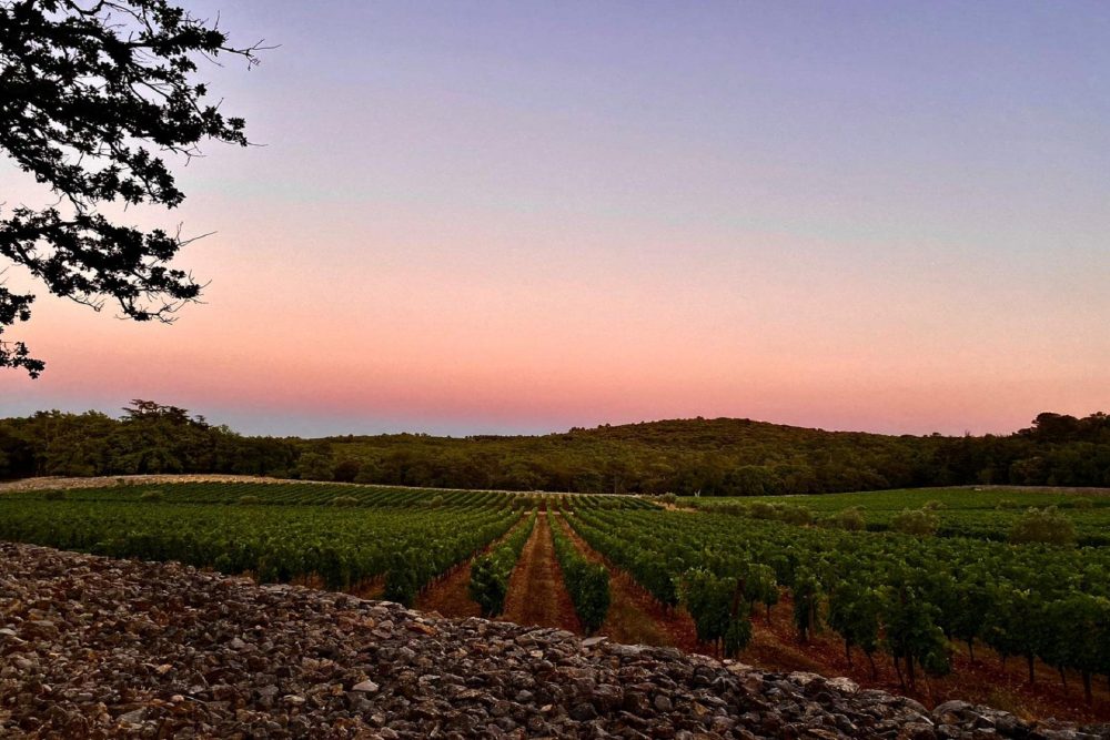 commanderie-de-peyrassol-var provence-sud-france-vignoble-oenotourisme-coucher-soleil-seminaires-de-caractere