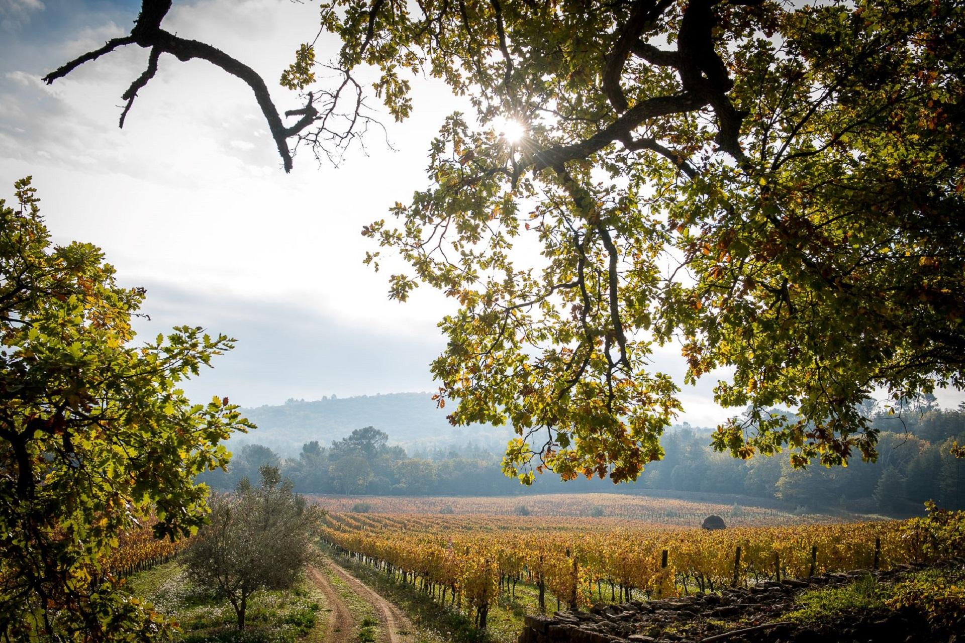 commanderie-de-peyrassol-var provence-sud-france-vignoble-oenotourisme-vignes-seminaires-de-caractere