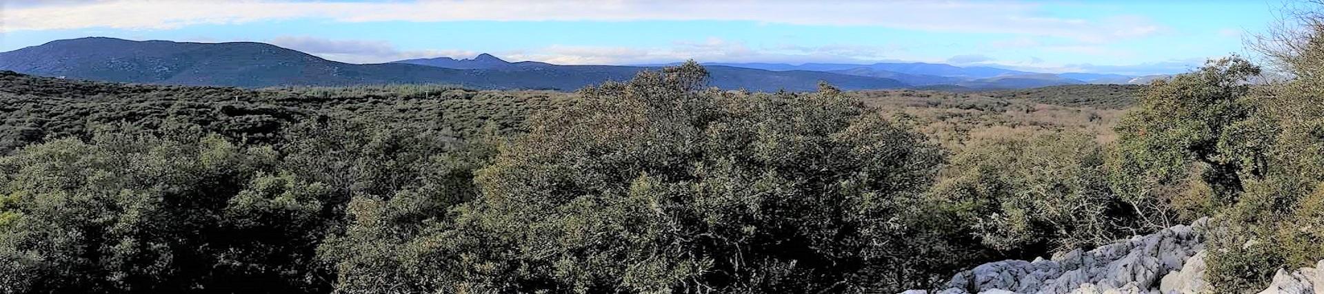 domaine-du-mas-de-coulet-herault-montpellier-cevennes-vue-panoramique-seminaires-de-caractere