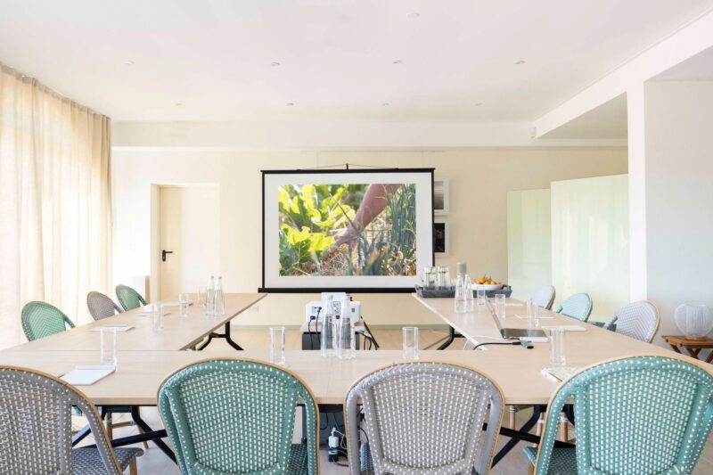 domaine-la-plume-nice-cannes-prealpes-sud-france-reunions-seminaires-de-caractere