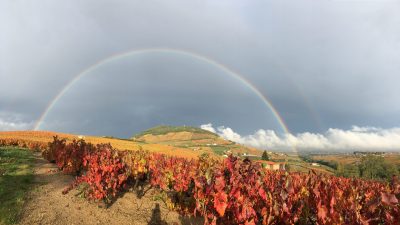 ermitage-de-brouilly-beaujolais-lyon-vue-panoramique-seminaires-de-caractere