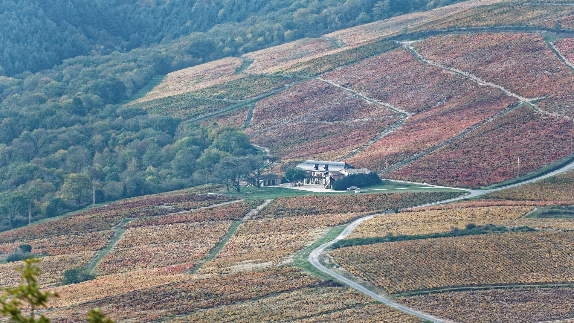 ermitage-de-brouilly-beaujolais-vignes-lyon-banquet-seminaires-de-caractere