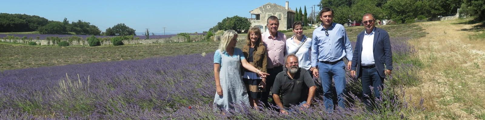 essentiel-de-lavande-cadeaux-lavande-bio-drome-provencale-seminaires-de-caractere