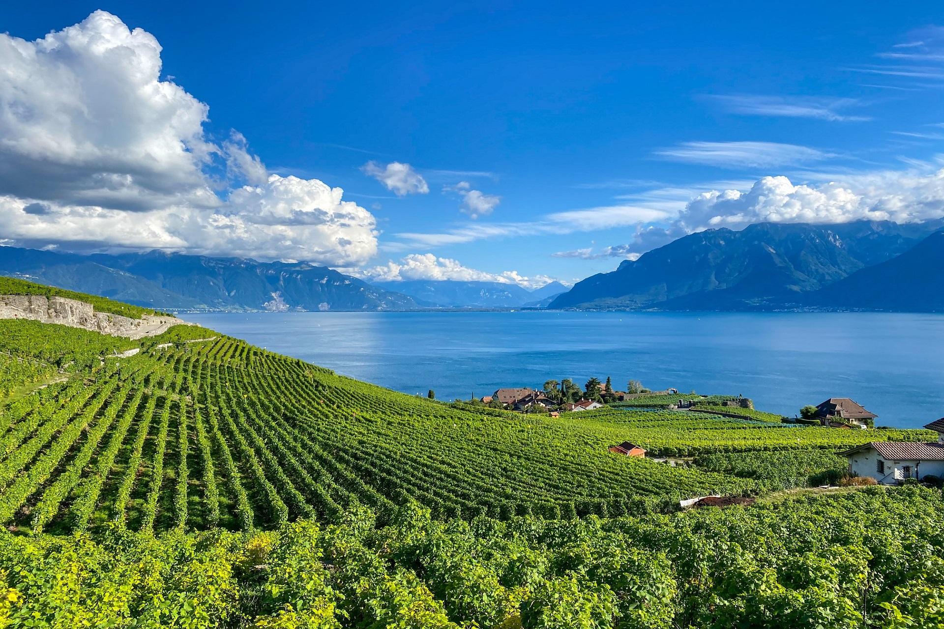 hilton-evian-les-bains-evian-incentive-lac-geneve-vignobles-seminaires-de-caractere