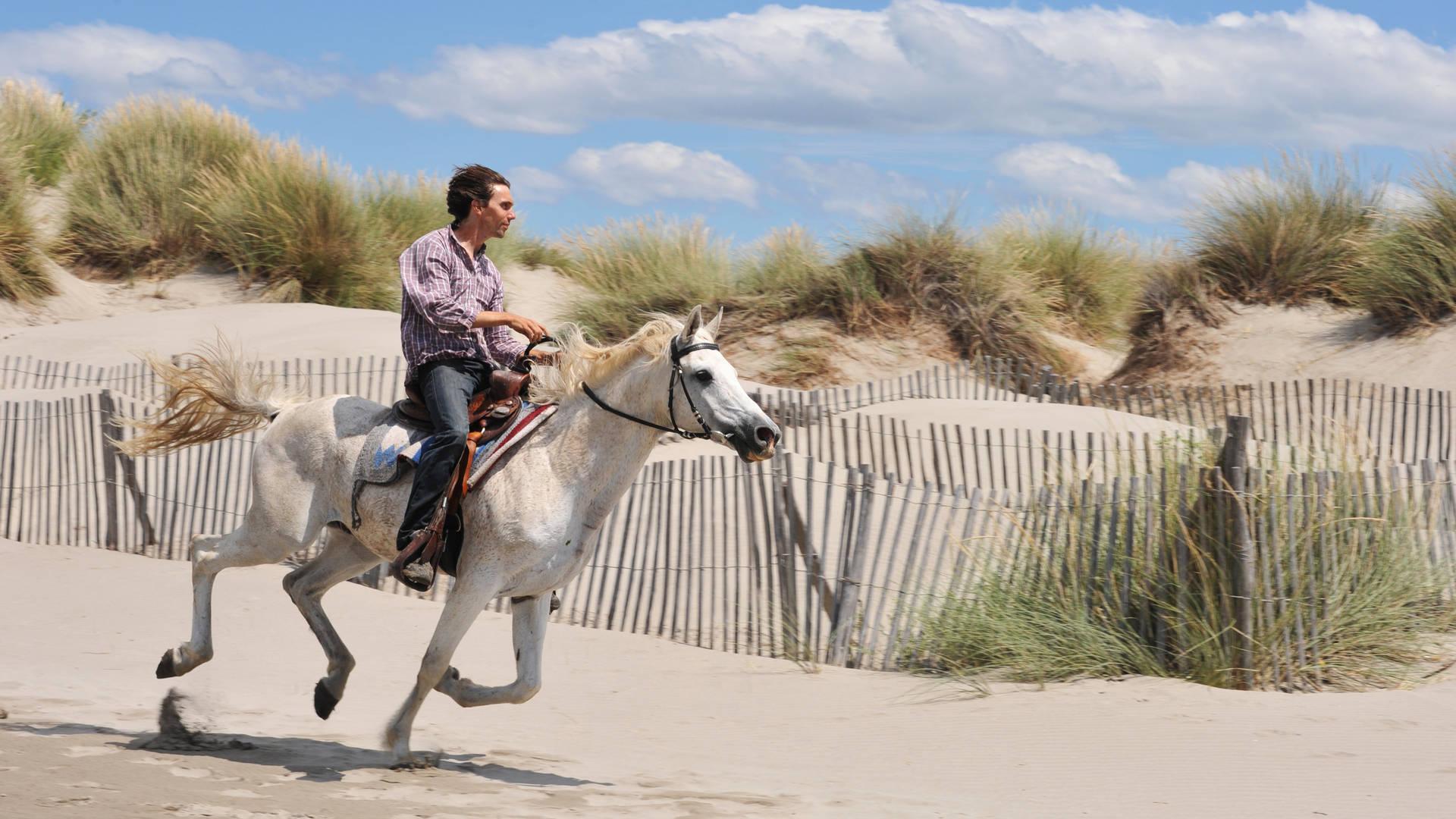 la-plage-montpellier-la-grande-motte-herault-occitanie-incentive-seminaires-de-caractere