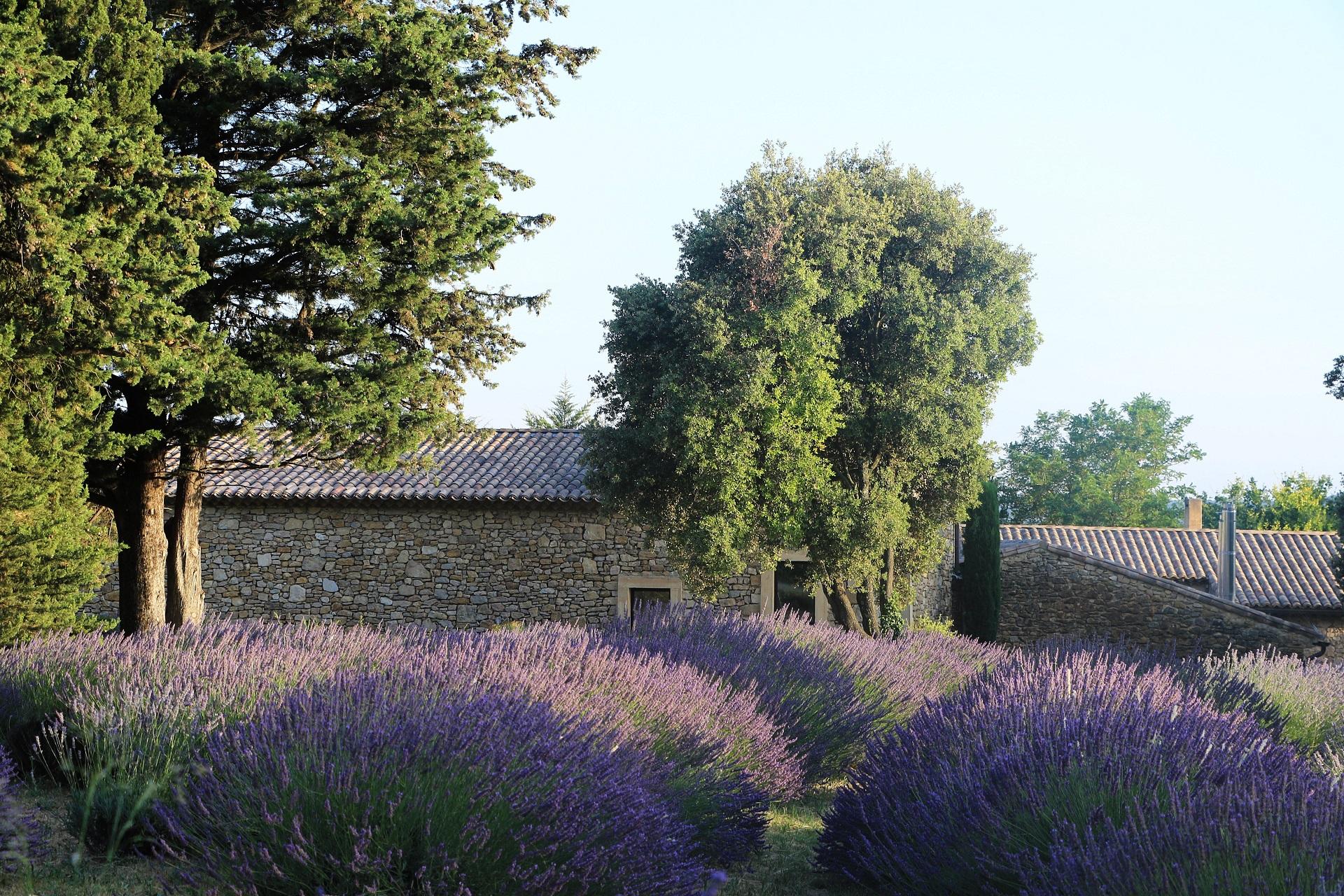 le-mas-de-so-gard-provence-incentive-seminaires-lavande