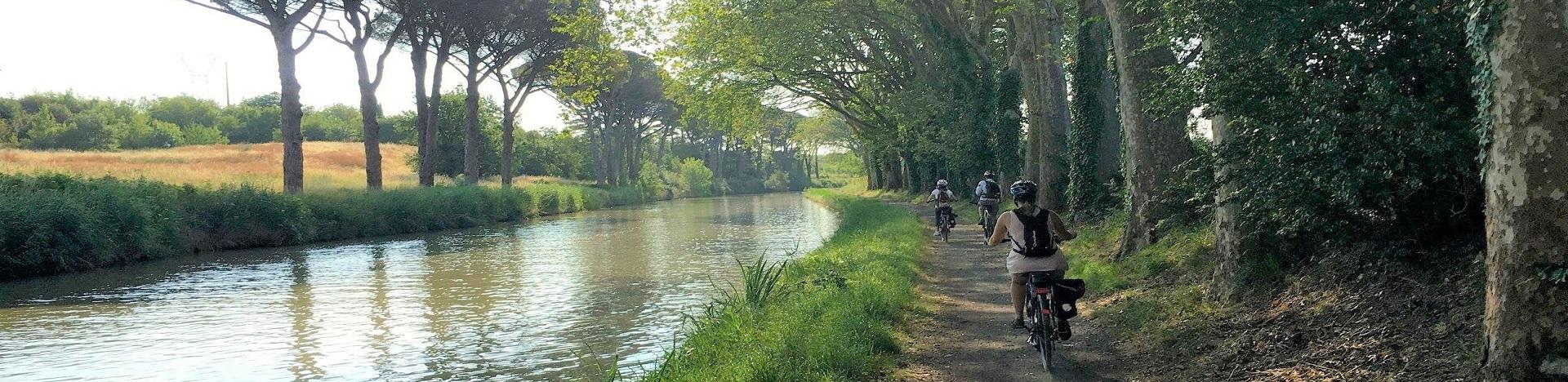 les-cabannes-dans-les-bois-carcassonne-occitanie-seminaires-insolites