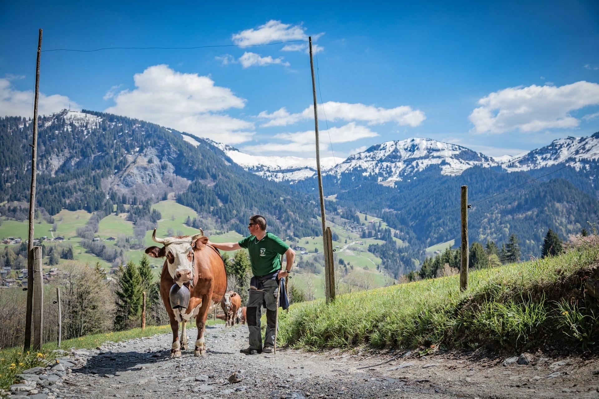 l’arboisie-megeve-incentive-ski-montagne-alpes-nature-101 seminaires-de-caractere