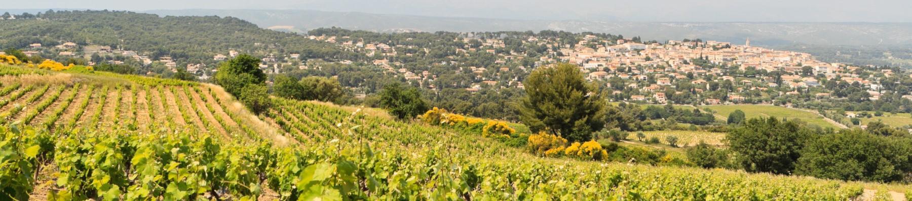 maison-berard-bandol-seminaires-de-caractere maison-berard-bandol-seminaires-de-caractere