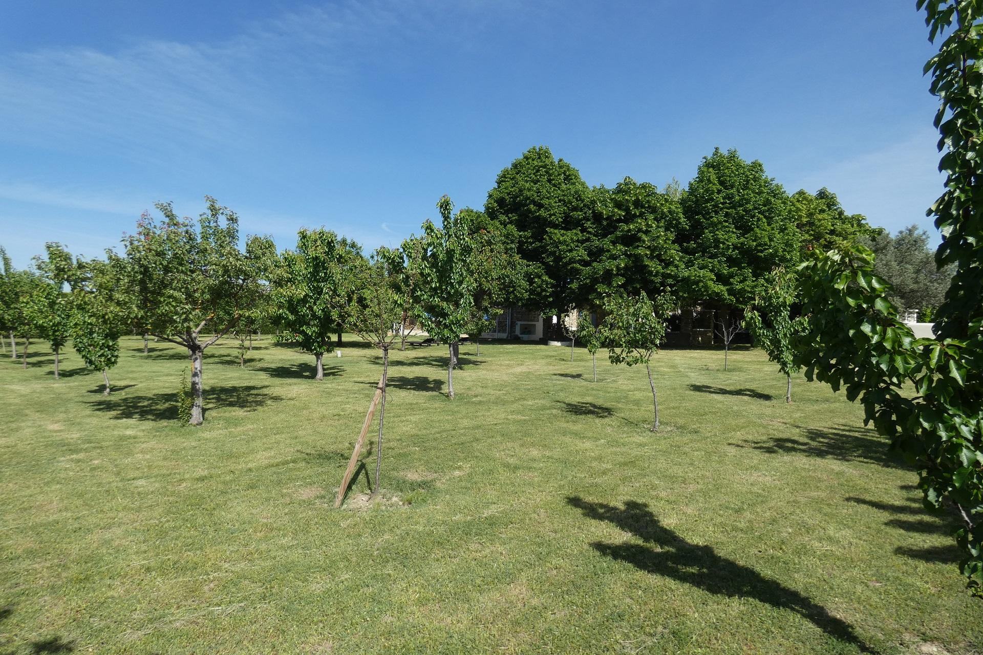 mas-du-sillot-grignan-vaucluse-drome-jardin-seminaire-de-caractere