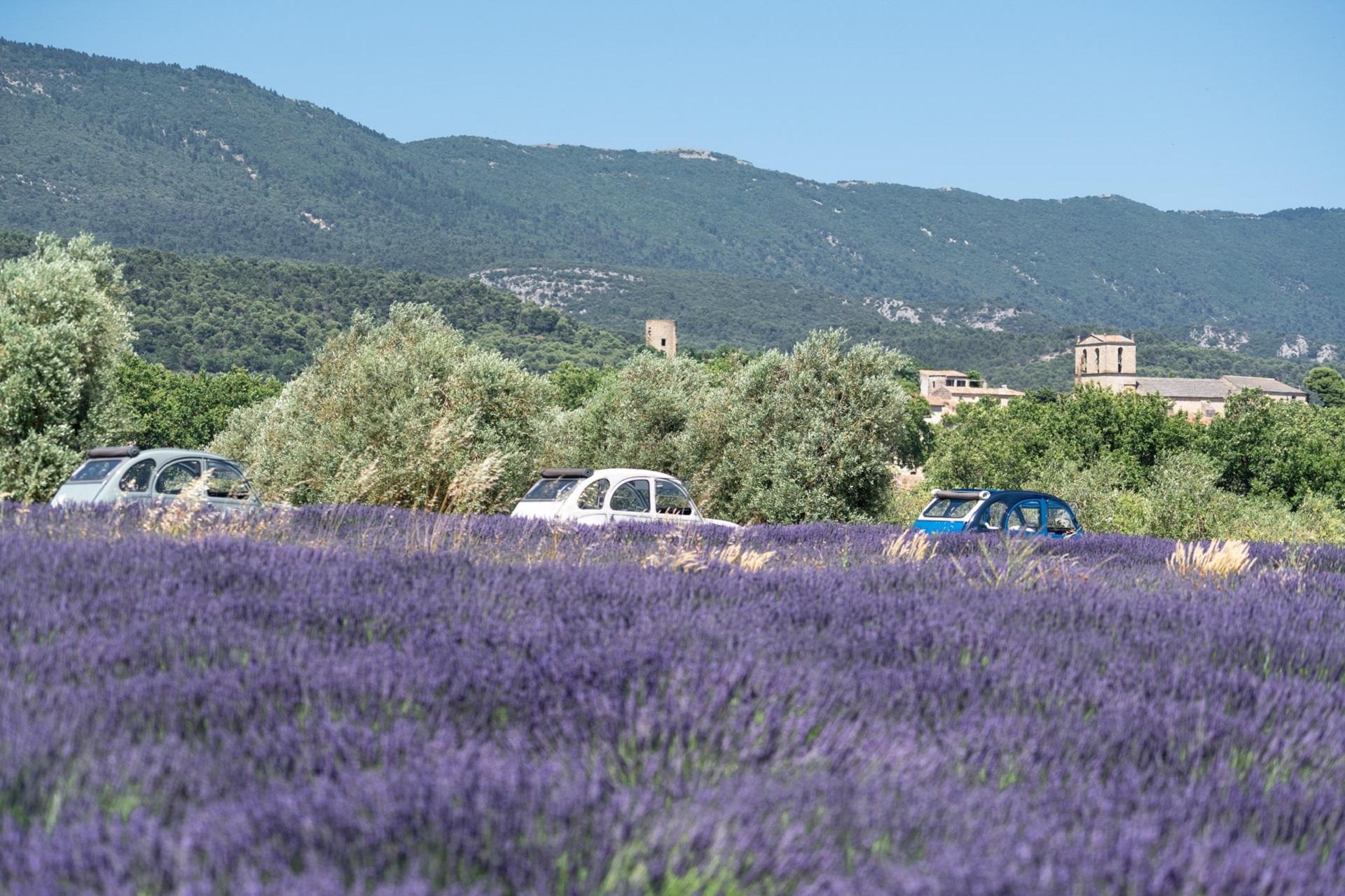 oh-my-deuche-incentive-provence-2cv-animations-sud-france-balade-seminaires-de-caractere 3