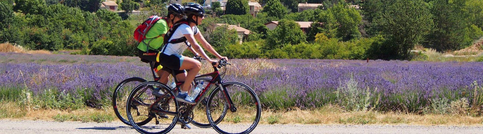 ride-and-more-travel-mont-ventoux-provence-luberon-animations