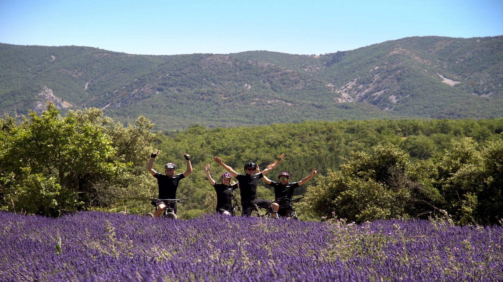 ride-and-more-travel-mont-ventoux-provence-luberon-lavandes