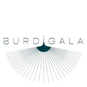 hotel-burdigala-seminaires-de-caractere hotel-burdigala-seminaires-de-caractere