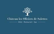 chateau-les-oliviers-de-salettes-drome-seminaires-de-caractere chateau-les-oliviers-de-salettes-drome-seminaires-de-caractere
