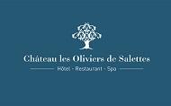 chateau-les-oliviers-de-salettes-drome-seminaires-de-caractere