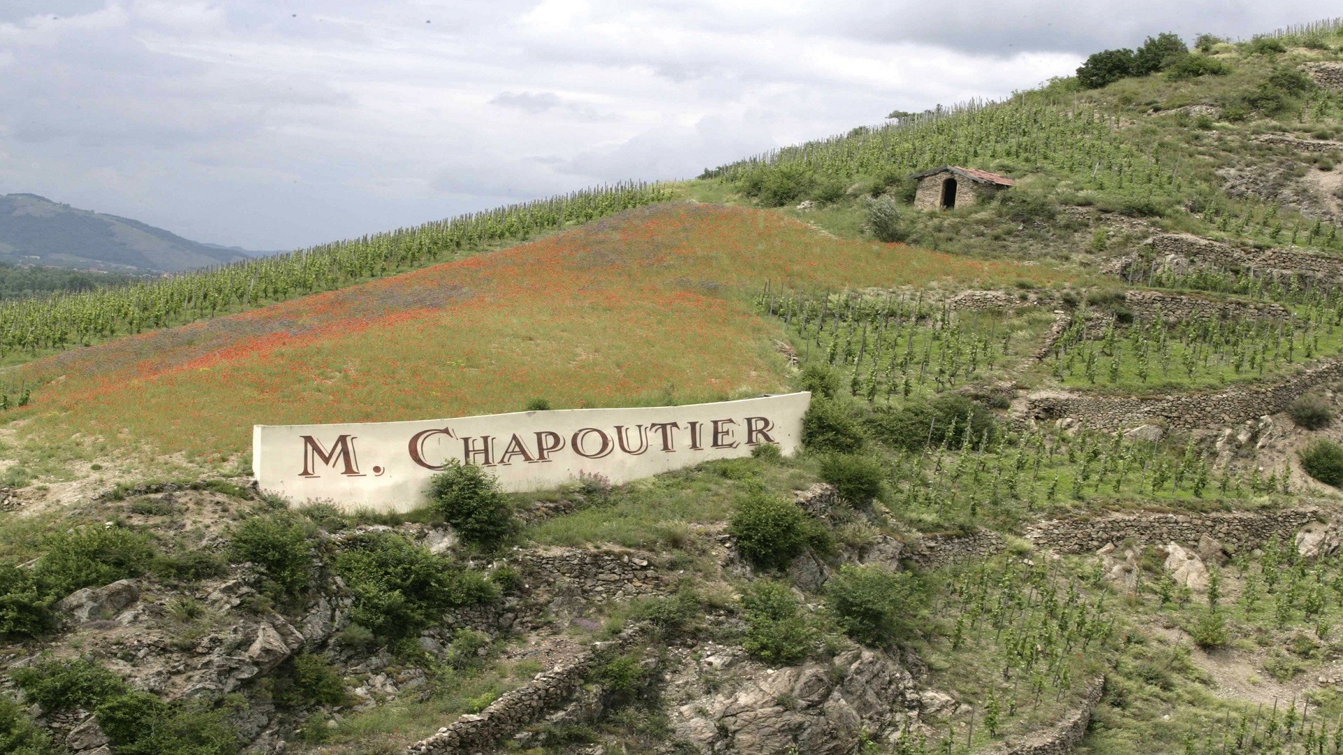 fac-et-spera-chapoutier-tain-lhermitage-drome-seminaires-de-caractere-vignes