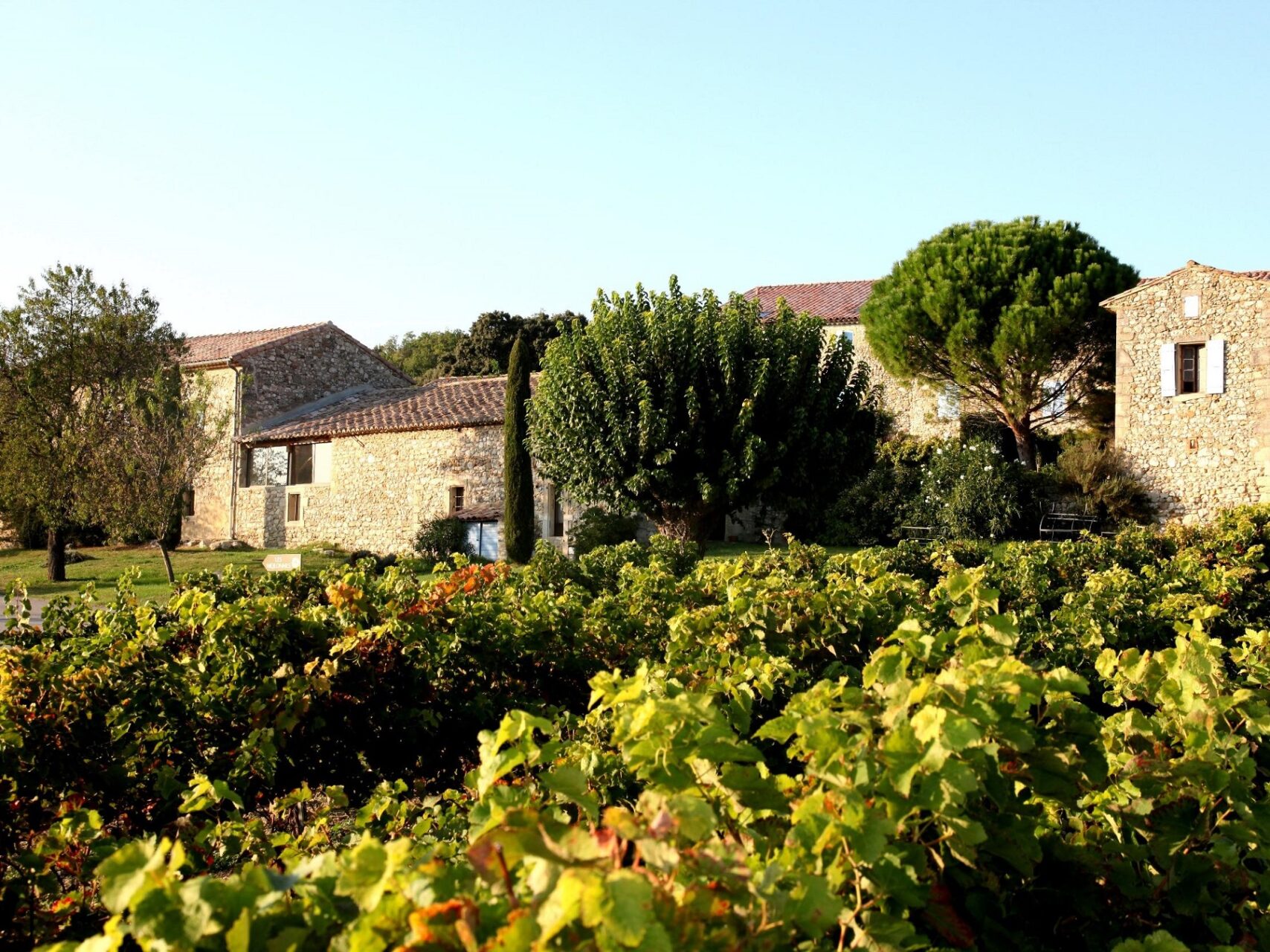 les-mejeonnes-valaurie-grignan-drome-provencale-seminaires-de-caractere-vignes