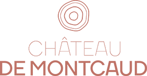 chateau-de-montcaud-provence-avignon-seminaire-de-caractere