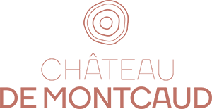 chateau-de-montcaud-provence-avignon-seminaire-de-caractere chateau-de-montcaud-provence-avignon-seminaire-de-caractere