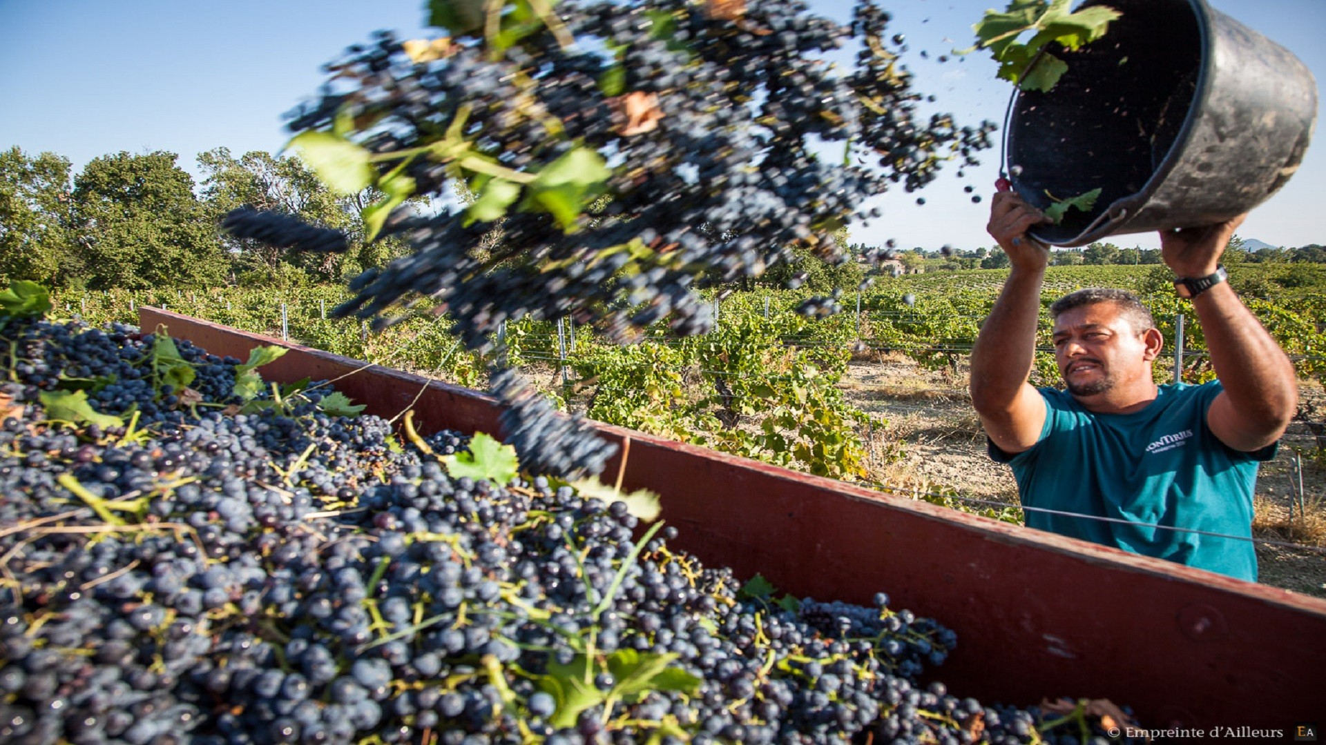 montirius-vignoble-bio-dynamique-provence-gigondas-seminaires-de-caractere