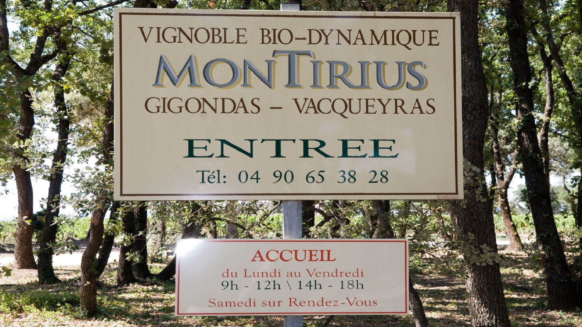 montirius-vignoble-bio-dynamique-provence-gigondas-seminaires-de-caractere