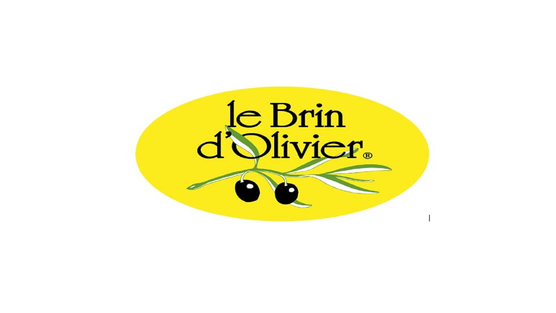 Le-brin-dolivier-seminaires-de-caractere