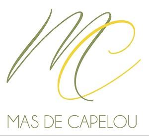 Mas de Capelou - Séminaires de Caractère