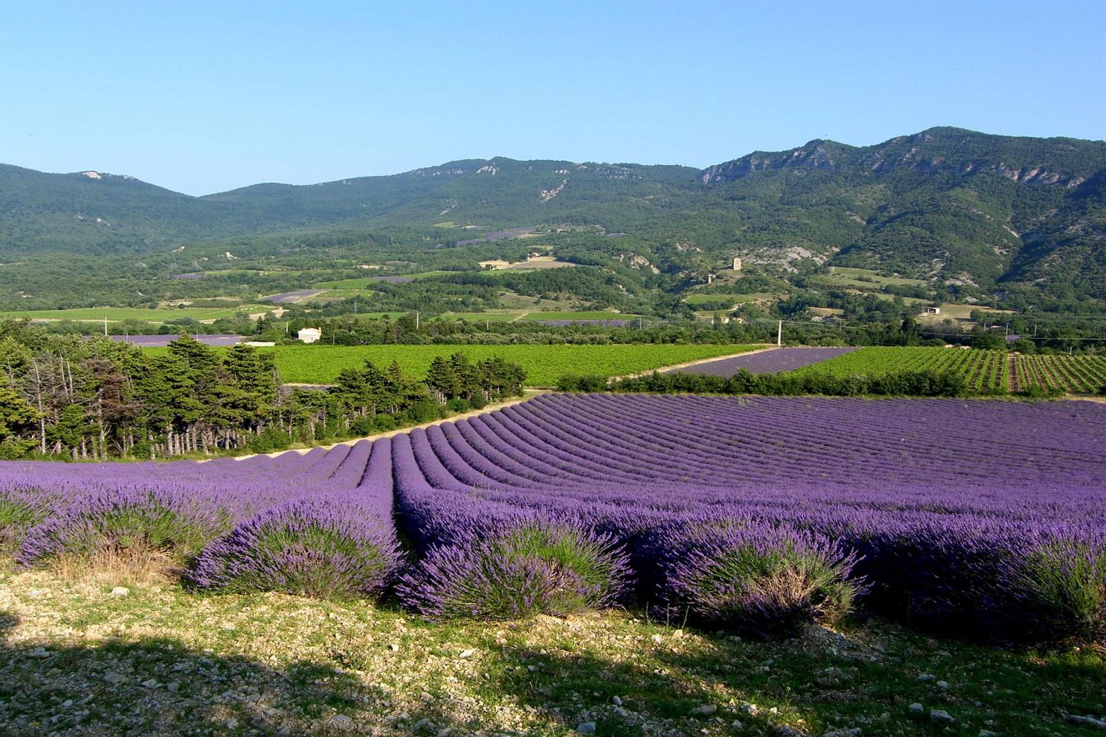 la-cachette-dieulefit-drome-provence-seminaire-sud-france-nature-seminaires-de-caractere