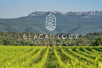 domaine-de-blacailloux-aix-en-provence-marseille-var-sud-france-seminaires-de-caractere