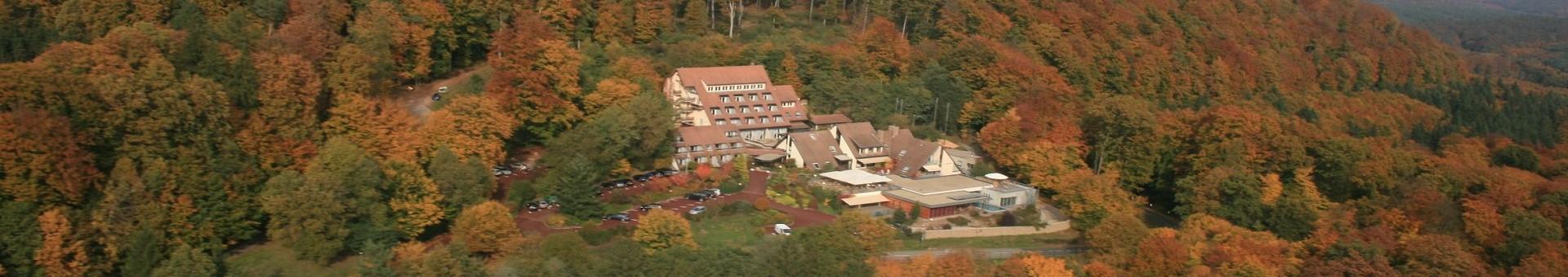 la-clairiere-bio-spa-seminaires-de-caractere