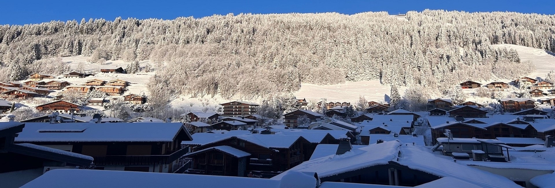 Chalet-La-Marmotte-Séminaires-de-Caractère