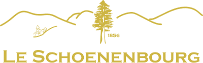 hotel-et-spa-le-schoenenbourg-seminaires-de-caractere