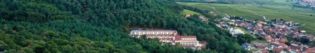 Hôtel-Spa-Husseren-Collections-Séminaires-de-Caractère Hôtel-Spa-Husseren-Collections-Séminaires-de-Caractère