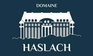 Domaine-de-Haslach-Séminaires-de-Caractère Domaine-de-Haslach-Séminaires-de-Caractère