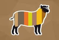 Domaine-d'Anglas-Séminaires-de-Caractère