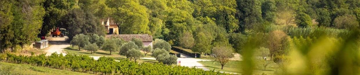 vue-du-domaine_paysage