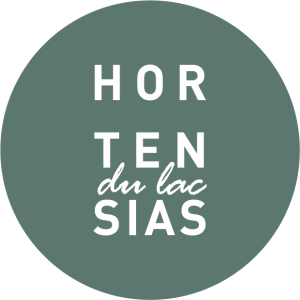 Les-Hortensias-du-Lac-Séminaires-de-Caractère Les-Hortensias-du-Lac-Séminaires-de-Caractère