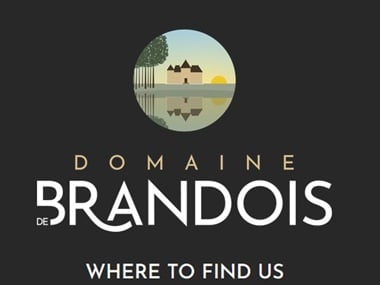 Domaine-de-Brandois-Les-Sables-Dolonnes-Séminaires-de Caractère Domaine-de-Brandois-Les-Sables-Dolonnes-Séminaires-de Caractère