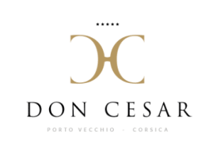 Don-Cesar-Corse-Séminaires-de-Caractère